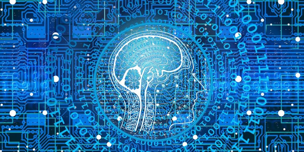 Chief digital officer perché è importante per i liberi professionisti